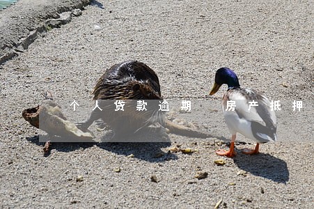 个人贷款逾期 房产抵押贷款 个人贷款逾期 房产抵押贷款